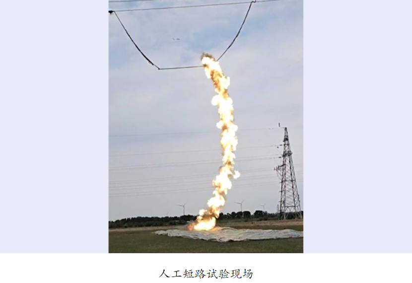 1691477686075083094.png